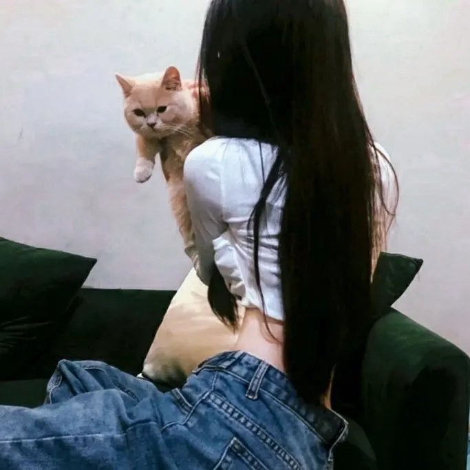 黑玫瑰