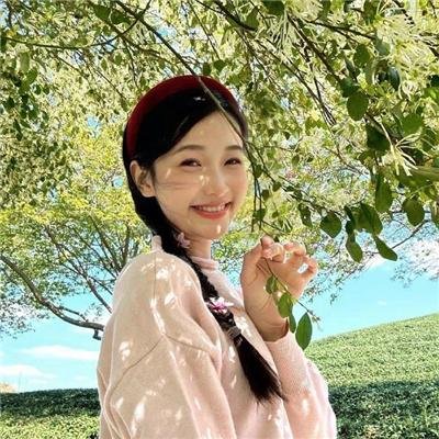 毛骗第一季